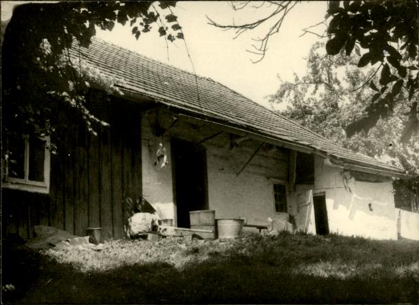 dom, skan 5