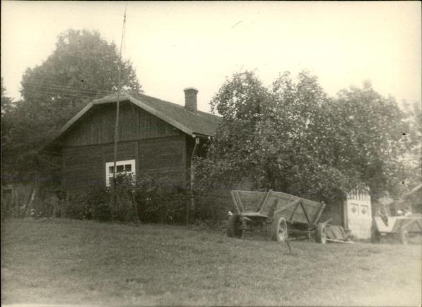 dom, skan 3