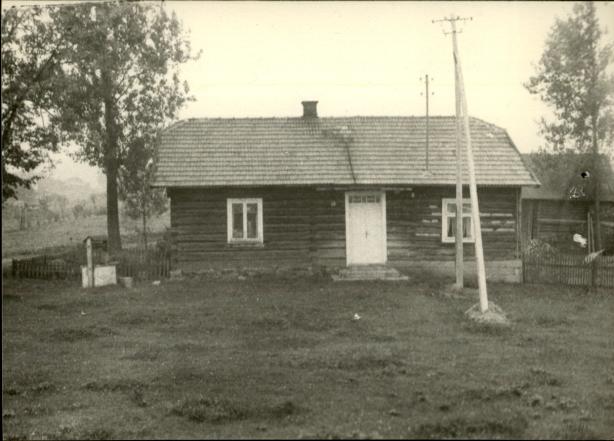 dom, skan 3