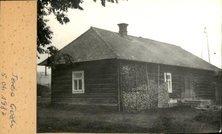 dom, skan 2