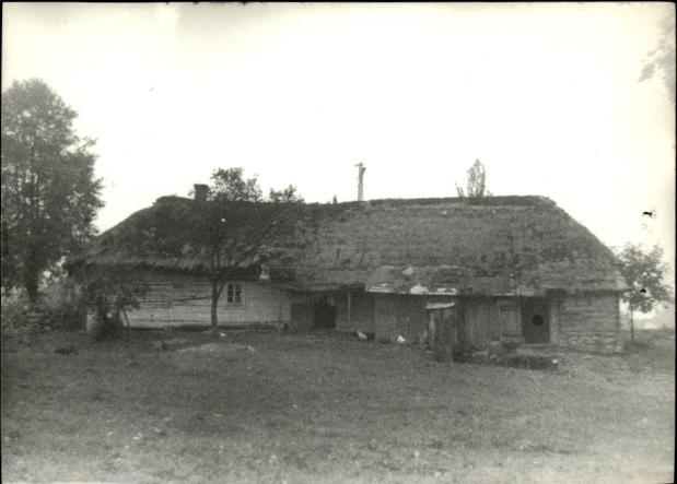 dom, skan 3