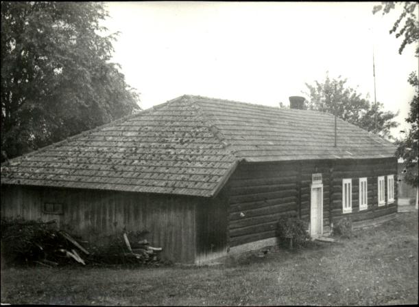 dom, skan 3