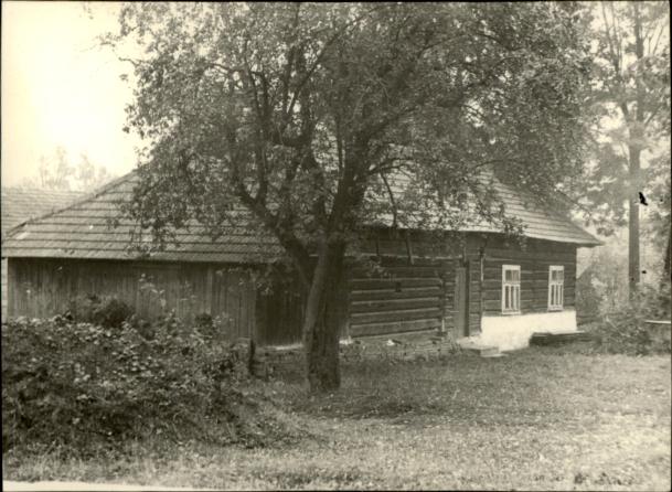 dom, skan 3