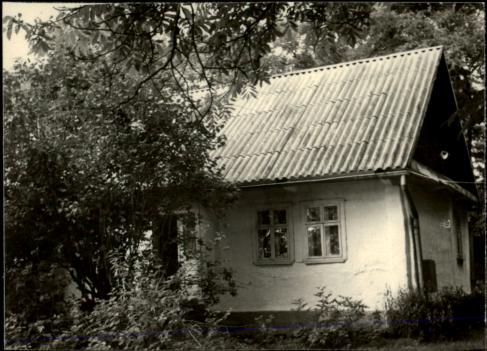 dom, skan 3
