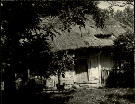 chałupa, skan 3