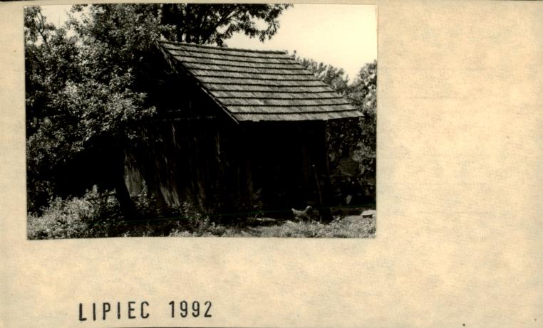szopa, skan 2
