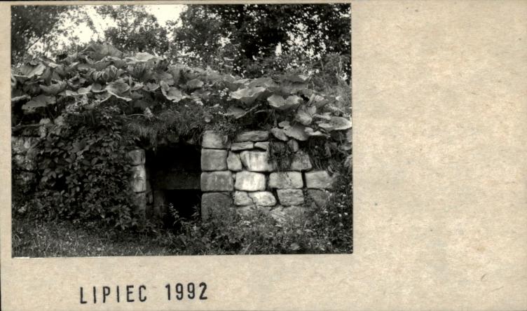 piwnica, skan 2