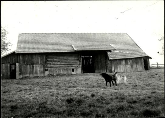 stodoła, skan 3