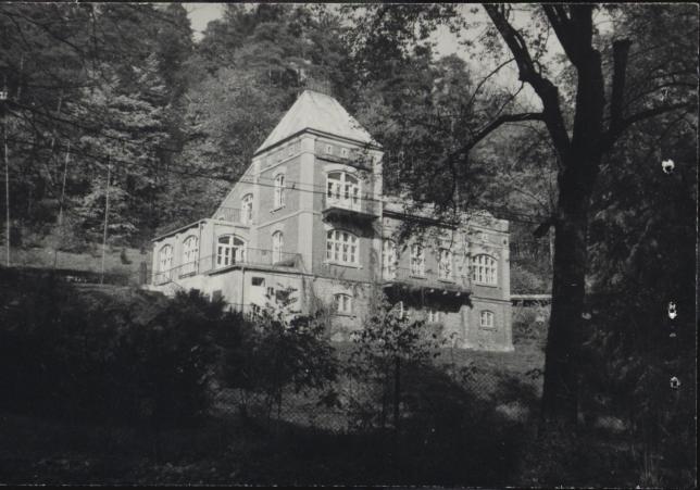 willa Jadwiga, skan 2