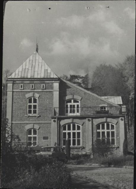 willa Jadwiga, skan 3
