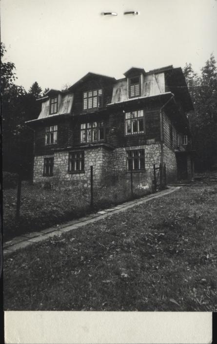 willa Zosia, skan 2
