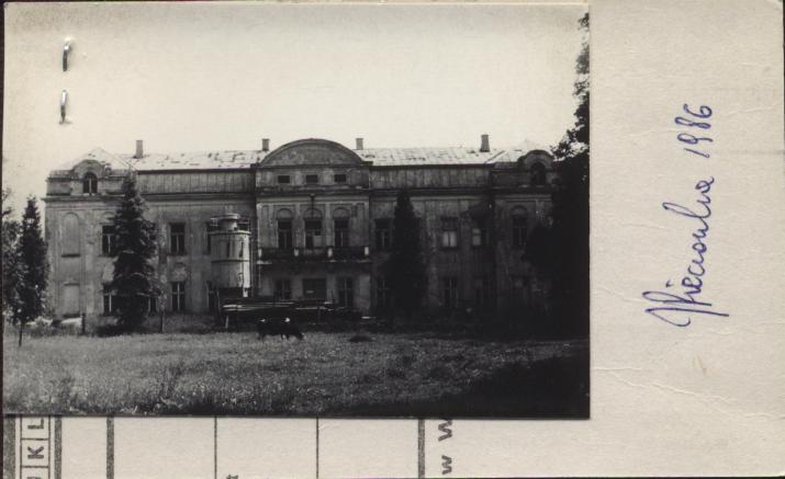 pałac, skan 2
