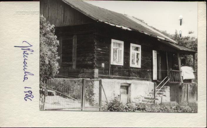 dom, skan 2
