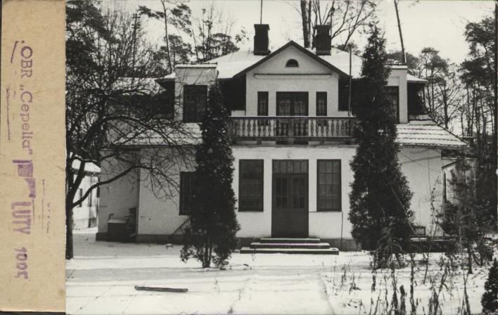 willa, skan 2