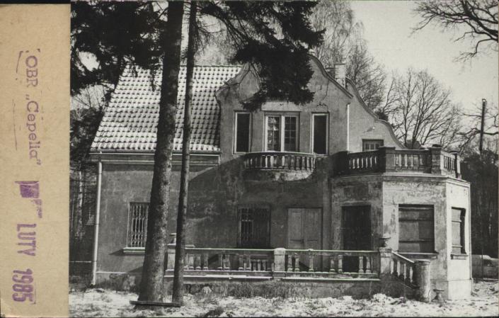 willa, skan 2