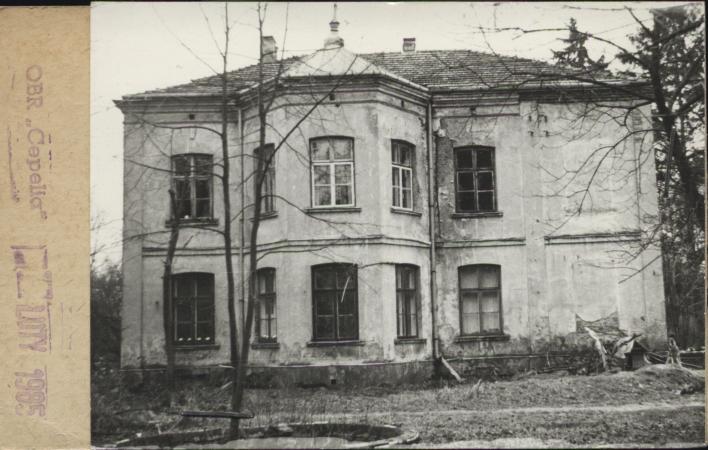 willa, skan 2