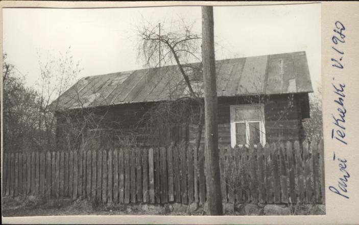 dom, skan 2