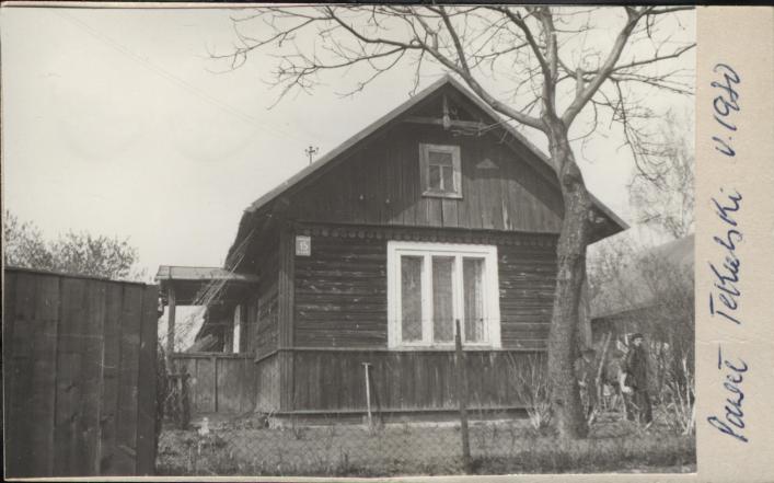 dom, skan 2
