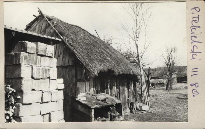 obora, skan 2