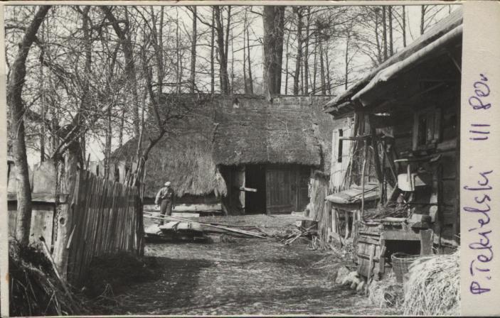 stodoła, skan 2