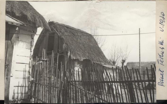 obora, skan 2