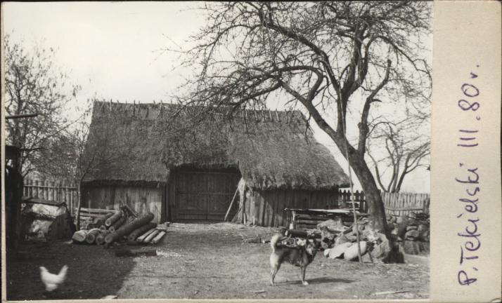 stodoła, skan 2