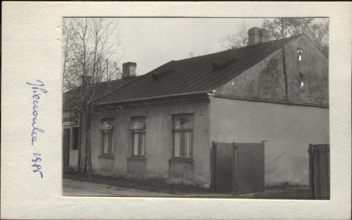 dom, skan 2