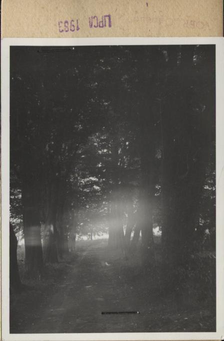 aleja grabowa, skan 2