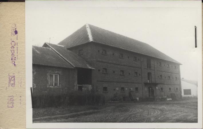spichlerz dworski, skan 2