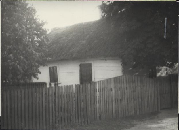 dom, skan 3