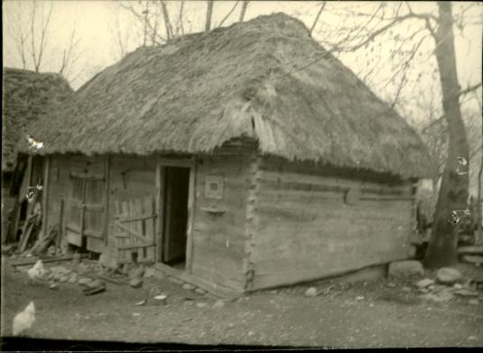 obora, skan 3