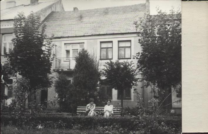 dom, skan 2