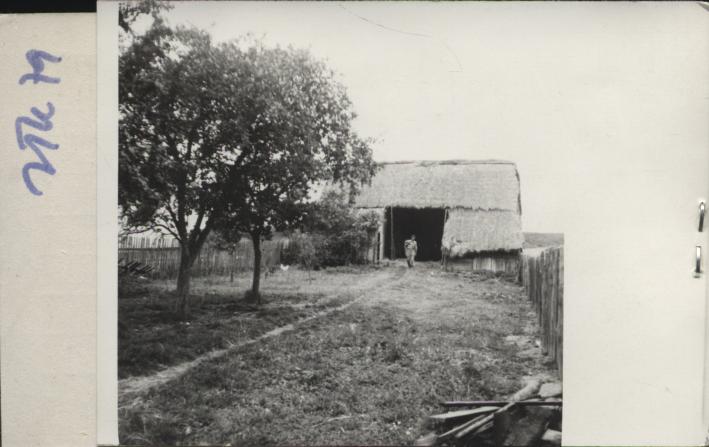 stodoła, skan 2