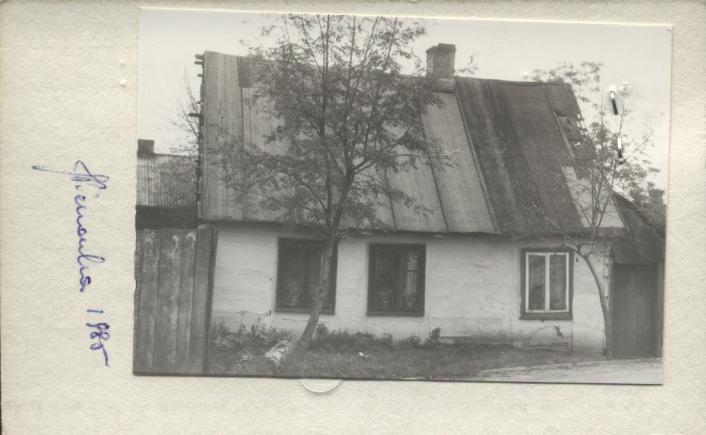dom, skan 2
