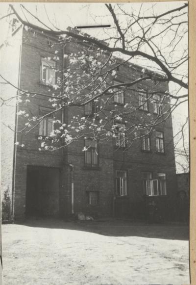dom, skan 4