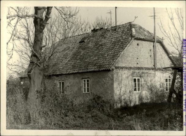 dom, skan 3