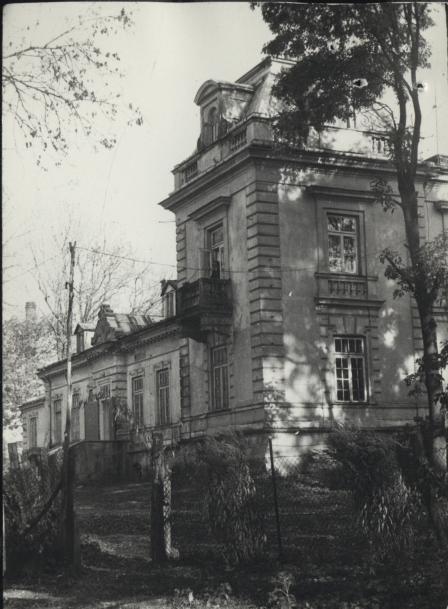 pałac, skan 4