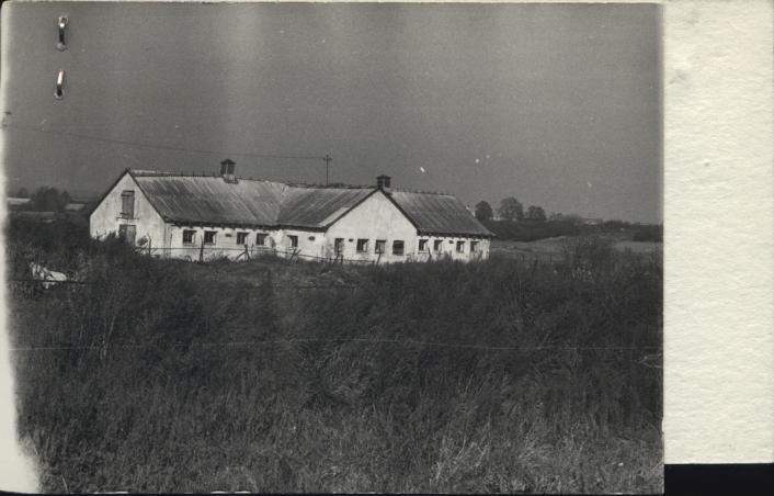 chlewnia, skan 2