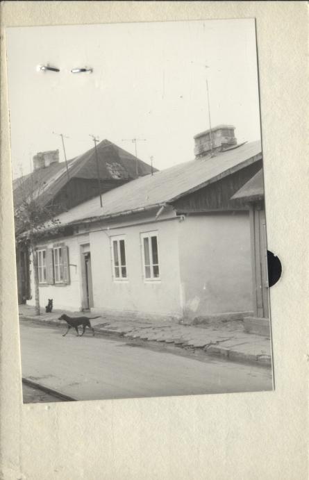 dom, skan 2