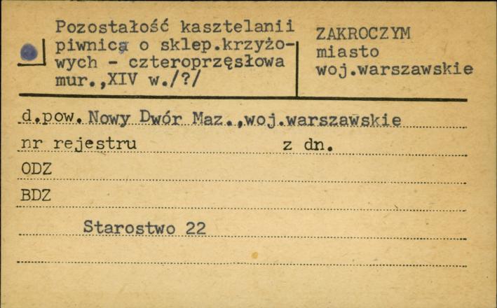 pozostałości kasztelnii piwnica i sklep. krzyżowych - czteroprzęsłowa, skan 1