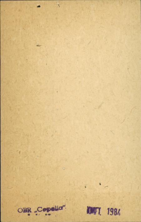 pawilon północny (prawy, zach.), skan 2