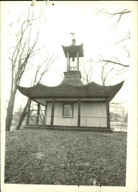 altana chińska, skan 3