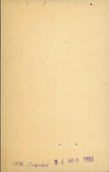 brama wjazdowa, skan 2