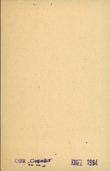 willa, skan 2