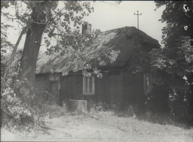 dom, skan 5