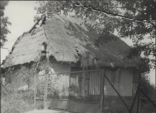 dom, skan 3