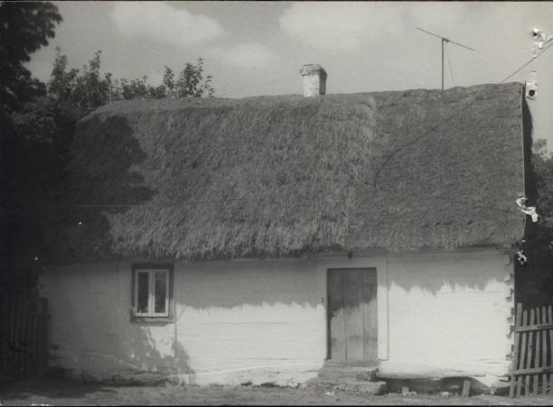dom, skan 5