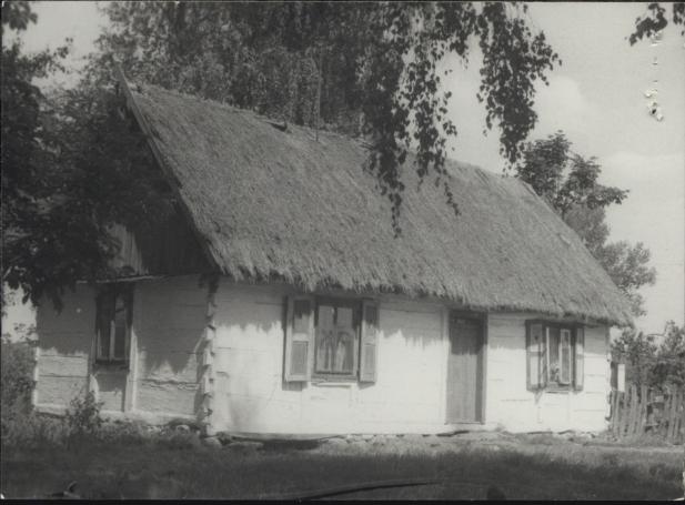 dom, skan 3