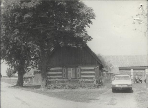 dom, skan 3