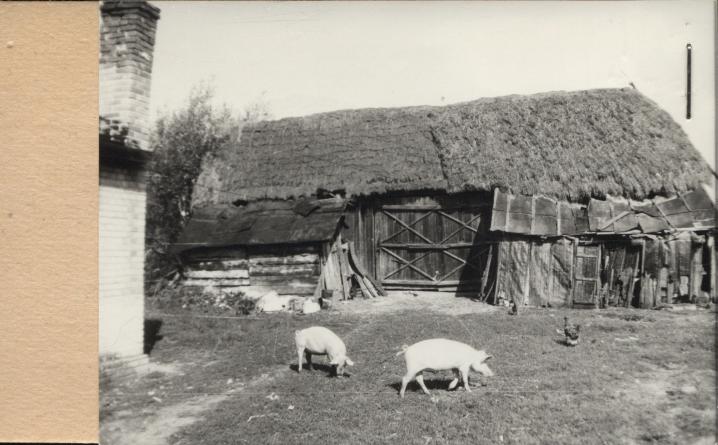 stodoła, skan 2